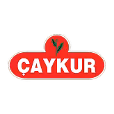 çAykur